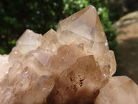 Natural Cascading Smokey Phantom Quartz Cluster  x 1 From Luena, Congo - TopRock