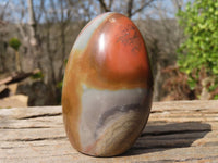 Polished Polychrome Jasper Standing Free Forms  x 3 From Madagascar