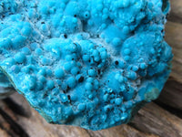 Natural Blue Chrysocolla On Silky Malachite Matrix Specimen  x 1 From Kulukuluku, Congo - Toprock Gemstones and Minerals 