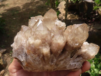 Natural Cascading Smokey Phantom Quartz Cluster  x 1 From Luena, Congo - TopRock