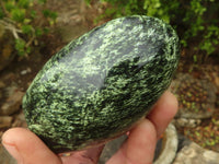 Polished Green Leopard Stone Standing Free Forms  x 6 From Zimbabwe