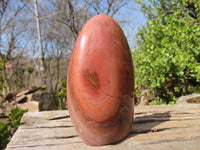 Polished Polychrome Jasper Standing Free Forms  x 3 From Madagascar