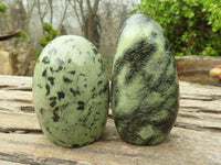 Polished Green Leopard Stone Standing Free Forms  x 6 From Zimbabwe