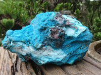 Natural Blue Chrysocolla On Silky Malachite Matrix Specimen  x 1 From Kulukuluku, Congo - Toprock Gemstones and Minerals 