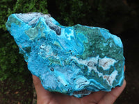 Natural Blue Chrysocolla On Silky Malachite Matrix Specimen  x 1 From Kulukuluku, Congo - Toprock Gemstones and Minerals 