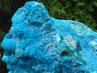 Natural Blue Chrysocolla On Silky Malachite Matrix Specimen  x 1 From Kulukuluku, Congo - Toprock Gemstones and Minerals 