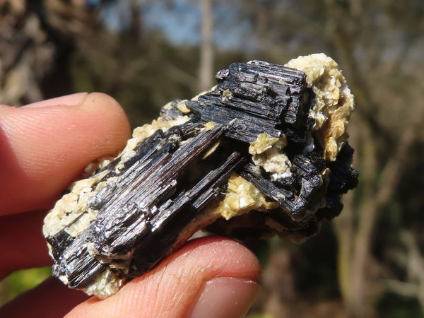 Natural Small Schorl Black Tourmaline With Hyalite Opal On Some  x 35 From Erongo, Namibia - Toprock Gemstones and Minerals 