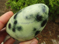 Polished Green Leopard Stone Standing Free Forms  x 6 From Zimbabwe