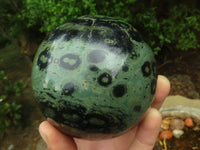 Polished Stromatolite / Kambamba Jasper Spheres  x 2 From Madagascar - TopRock