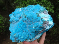 Natural Blue Chrysocolla On Silky Malachite Matrix Specimen  x 1 From Kulukuluku, Congo - Toprock Gemstones and Minerals 