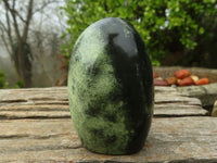 Polished Green Leopard Stone Standing Free Forms  x 6 From Zimbabwe