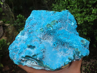 Natural Blue Chrysocolla On Silky Malachite Matrix Specimen  x 1 From Kulukuluku, Congo - Toprock Gemstones and Minerals 