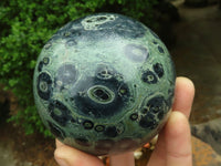 Polished Stromatolite / Kambamba Jasper Spheres  x 2 From Madagascar - TopRock