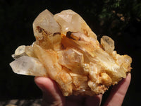 Natural Orange Hematoid Quartz Clusters & Crystals  x 7 From Madagascar - TopRock