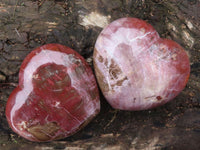 Polished Petrified Red Podocarpus Wood Hearts  x 2 From Madagascar - Toprock Gemstones and Minerals 