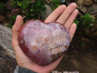 Polished Petrified Red Podocarpus Wood Hearts  x 2 From Madagascar - Toprock Gemstones and Minerals 