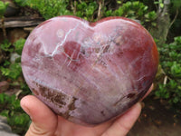 Polished Petrified Red Podocarpus Wood Hearts  x 2 From Madagascar - Toprock Gemstones and Minerals 