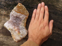 Natural Amethyst & Crystal Centred Geodes  x 3 From Zululand, South Africa - TopRock