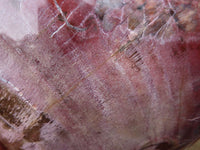 Polished Petrified Red Podocarpus Wood Hearts  x 2 From Madagascar - Toprock Gemstones and Minerals 