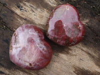 Polished Petrified Red Podocarpus Wood Hearts  x 2 From Madagascar - Toprock Gemstones and Minerals 