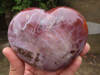 Polished Petrified Red Podocarpus Wood Hearts  x 2 From Madagascar - Toprock Gemstones and Minerals 