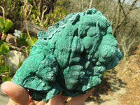 Natural Malachite Specimens x 2 From Congo