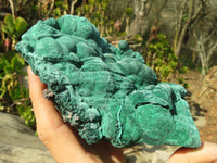 Natural Malachite Specimens x 2 From Congo