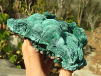 Natural Malachite Specimens x 2 From Congo