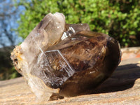 Natural Mixed Brandberg Quartz Specimens  x 6 From Namibia - Toprock Gemstones and Minerals 