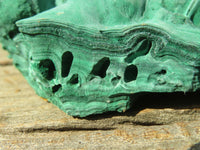 Natural Malachite Specimens x 2 From Congo