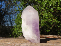 Natural Mixed Brandberg Quartz Specimens  x 6 From Namibia - Toprock Gemstones and Minerals 