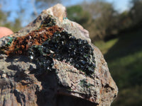 Natural Rare Copper Phosphate Libethenite On Dolomite Clusters  x 7 From Shituru, Congo - TopRock