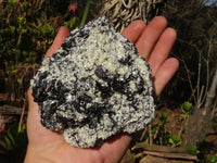 Natural Schorl Black Tourmaline Specimens With Hyalite & Fluorite Specimens  x 3 From Erongo, Namibia