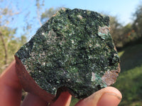 Natural Rare Copper Phosphate Libethenite On Dolomite Clusters  x 7 From Shituru, Congo - TopRock