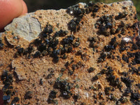 Natural Rare Copper Phosphate Libethenite On Dolomite Clusters  x 7 From Shituru, Congo - TopRock