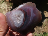 Polished Red River Agate Nodules  x 12 From Sashe River, Zimbabwe - TopRock