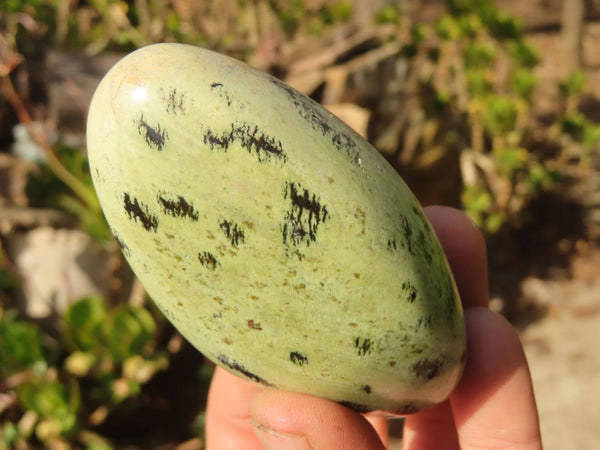 Polished Leopard Stone Free Forms  x 12 From Inyanga, Zimbabwe