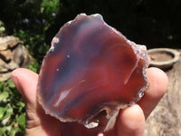 Polished Red River Agate Nodules  x 12 From Sashe River, Zimbabwe - TopRock