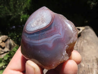 Polished Red River Agate Nodules  x 12 From Sashe River, Zimbabwe - TopRock