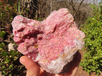 Natural Rough Red Rhodonite Specimens x 2 From Zimbabwe