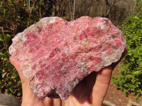 Natural Rough Red Rhodonite Specimens x 2 From Zimbabwe