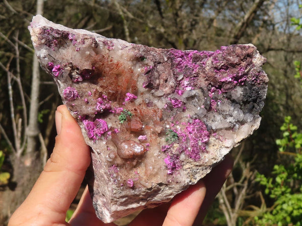 Natural Pink Salrose Cobaltion Dolomite Specimens  x 2 From Kakanda, Congo - Toprock Gemstones and Minerals 