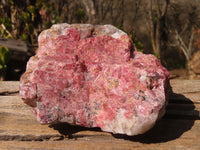 Natural Rough Red Rhodonite Specimens x 2 From Zimbabwe