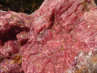 Natural Rough Red Rhodonite Specimens x 2 From Zimbabwe