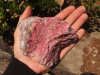 Natural Rough Red Rhodonite Specimens x 2 From Zimbabwe