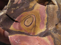 Natural Rough Nguni Jasper Cobbed Specimens  x 10 From Northern Cape, South Africa - TopRock