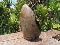 Polished Septerye Sauvage Display Piece x 1 From Mahaganja, Madagascar - TopRock