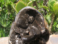 Polished Septerye Sauvage Display Piece x 1 From Mahaganja, Madagascar - TopRock