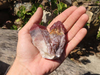 Natural Red Hematoid Quartz Specimens x 12 From Karoi, Zimbabwe