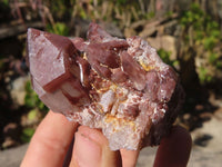 Natural Red Hematoid Quartz Specimens x 12 From Karoi, Zimbabwe